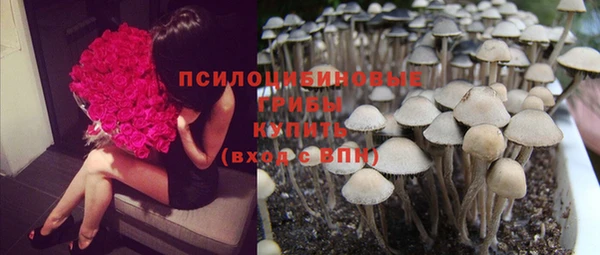 стафф Кадников