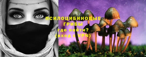 винт Горно-Алтайск