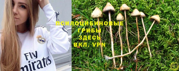 соль курить ск Ишимбай