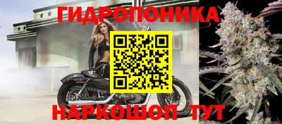 прущие грибы Кумертау