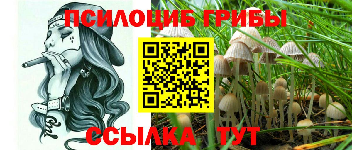 Псилоцибиновые грибы Psilocybine cubensis Городец