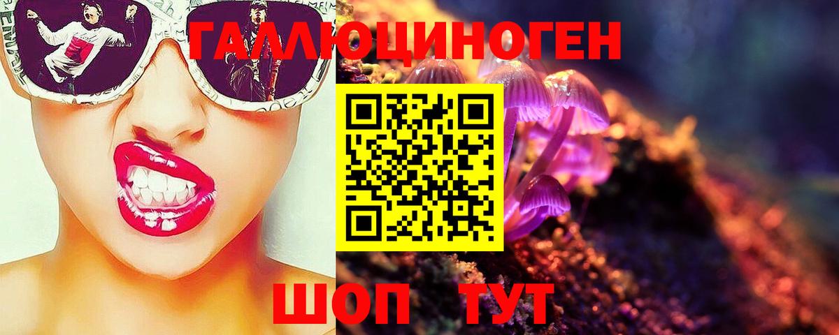 Галлюциногенные грибы Psilocybine cubensis  Вход с VPN  Городец 
