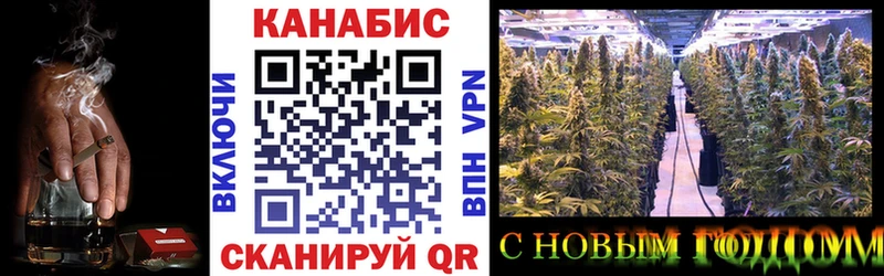 Шишки марихуана индика  Городец 